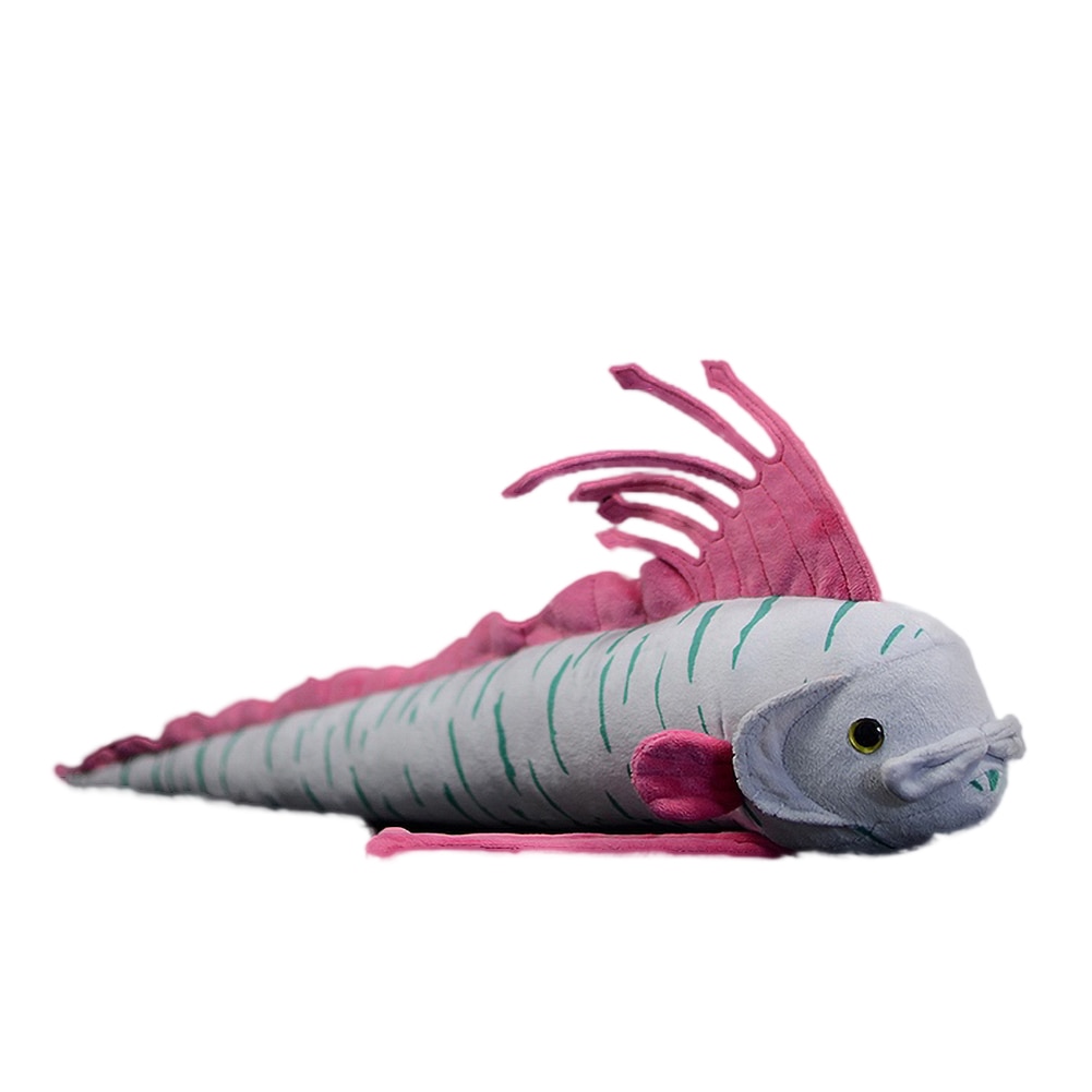 66cm Simulation Cute Real Life Oarfish Ribbon Fish Chimera Soft Plush Toy Regalecus Glesne King of the herring Model Kids Gift
