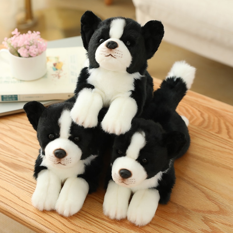 Miyoni Realistic 12 inch Border Collie Laying Puppy Dog Soft Cuddly AKC AU26271 