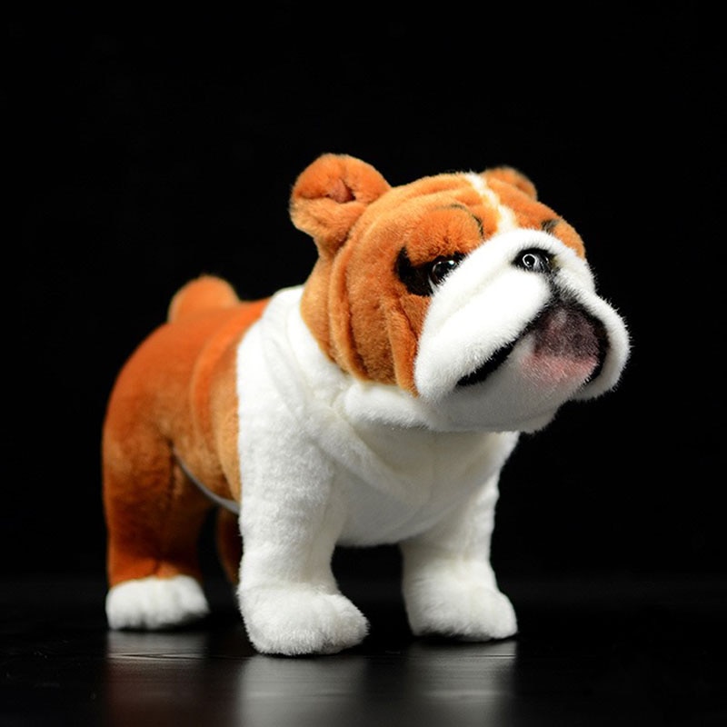 british bulldog teddies