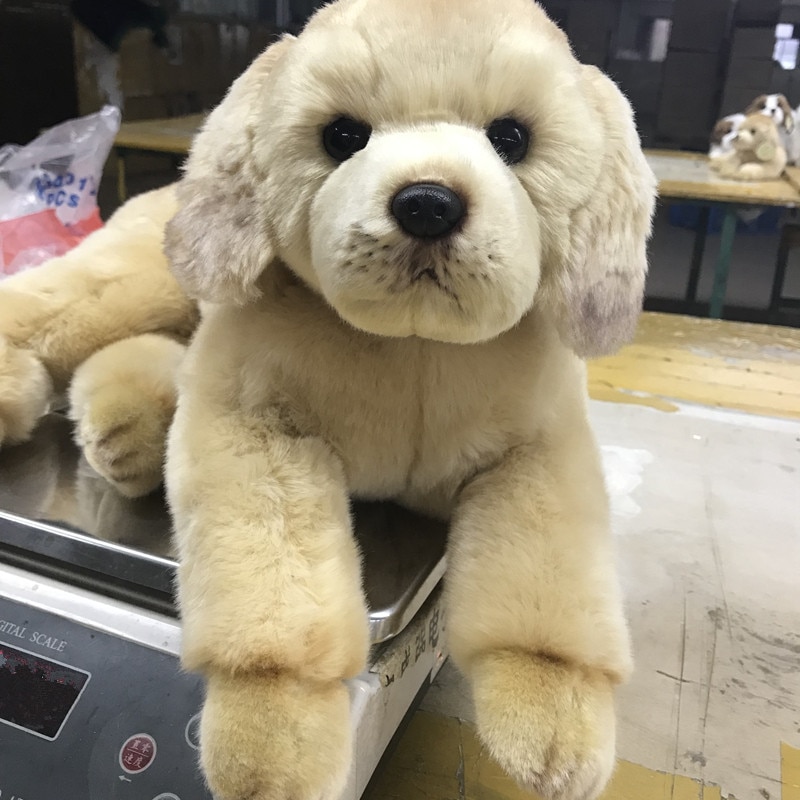 Dorimytrader Quality Simulation Animal Golden Retriever Dog Plush Toy Stuffed Soft Prey dog Pet Doll 50x23cm