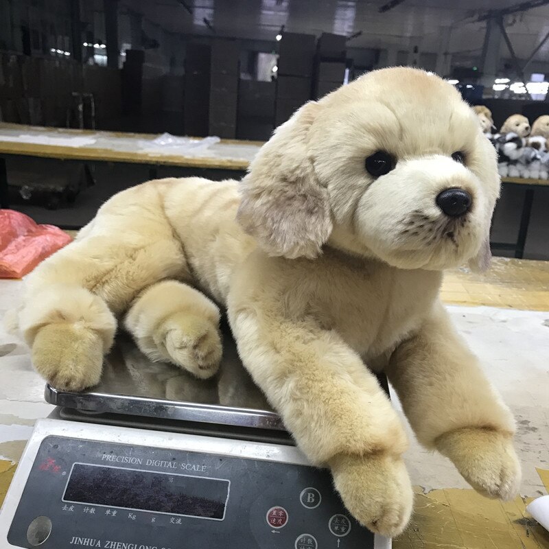 Dorimytrader Quality Simulation Animal Golden Retriever Dog Plush Toy Stuffed Soft Prey dog Pet Doll 50x23cm