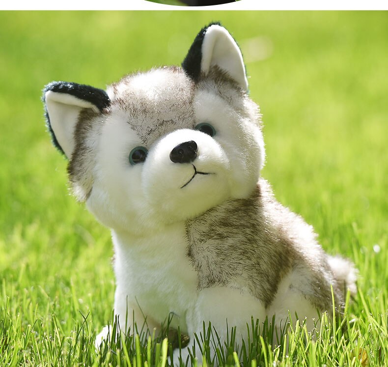 20/24/30cm Cute Husky Dog Plush Toy Wolf Soft Stuffed Animals Cartoon Plush Kawaii Children Doll Fluffy Birthday Gift Child Toy