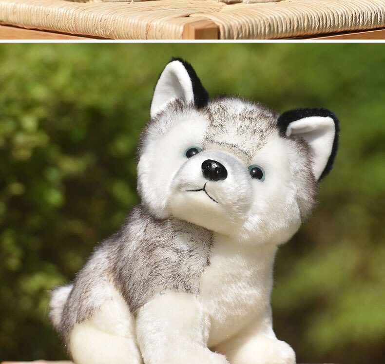 20/24/30cm Cute Husky Dog Plush Toy Wolf Soft Stuffed Animals Cartoon Plush Kawaii Children Doll Fluffy Birthday Gift Child Toy