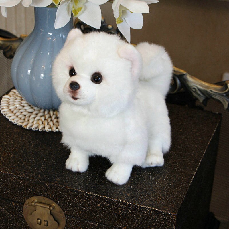 pomeranian stuffed toy