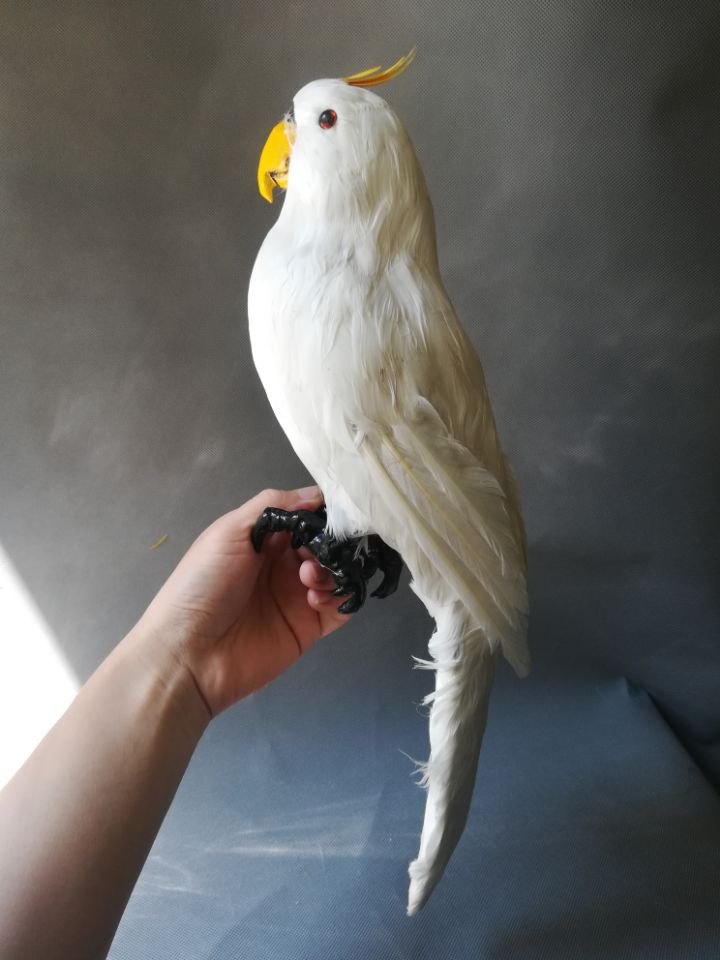 real life Bird white feathers parrot model large 45cm cockatoo parrot garden decoration filming prop toy gift h1429