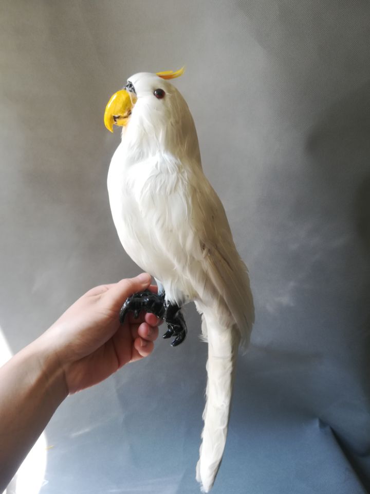 real life Bird white feathers parrot model large 45cm cockatoo parrot garden decoration filming prop toy gift h1429