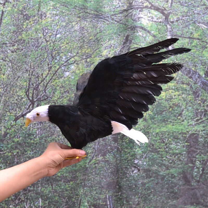 about 40x80cm simulation eagle bird model toy ,plastic foam&feathers spreading wings eagle model ,home decoration gift w5608