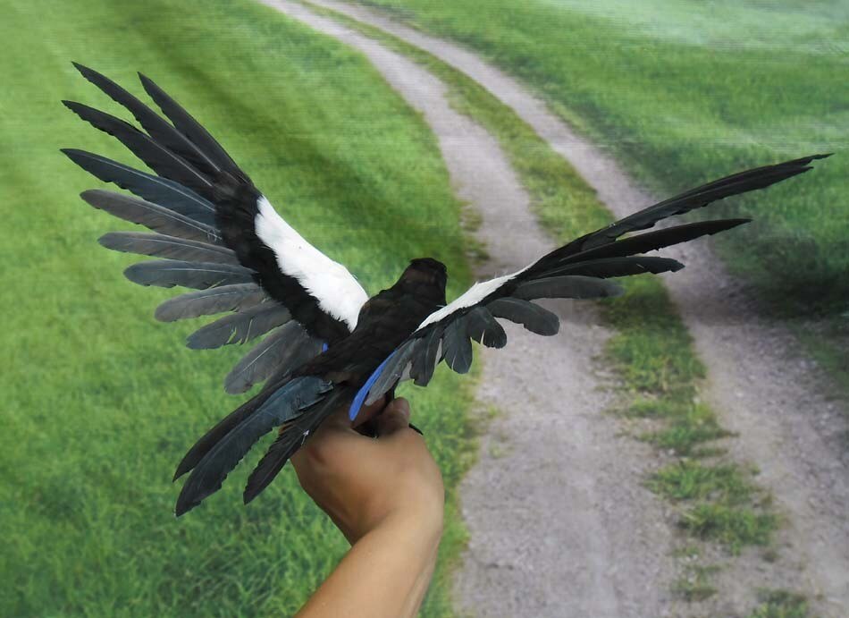 feathers Magpie bird about 30x55cm bird model home pastoral decoration Christmas gift h1103