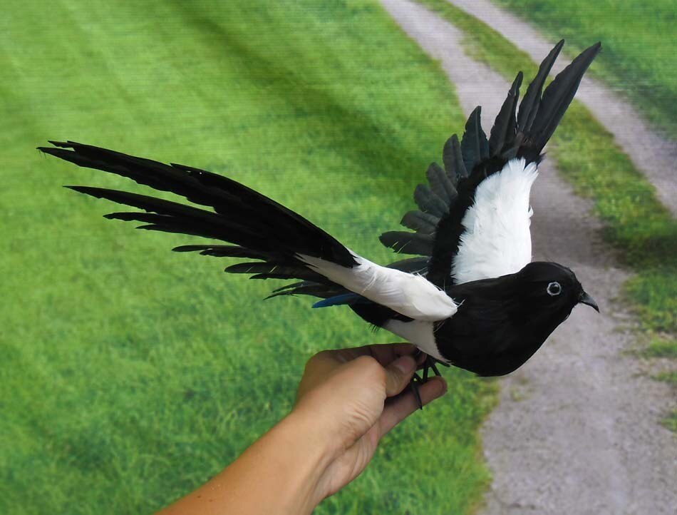 feathers Magpie bird about 30x55cm bird model home pastoral decoration Christmas gift h1103