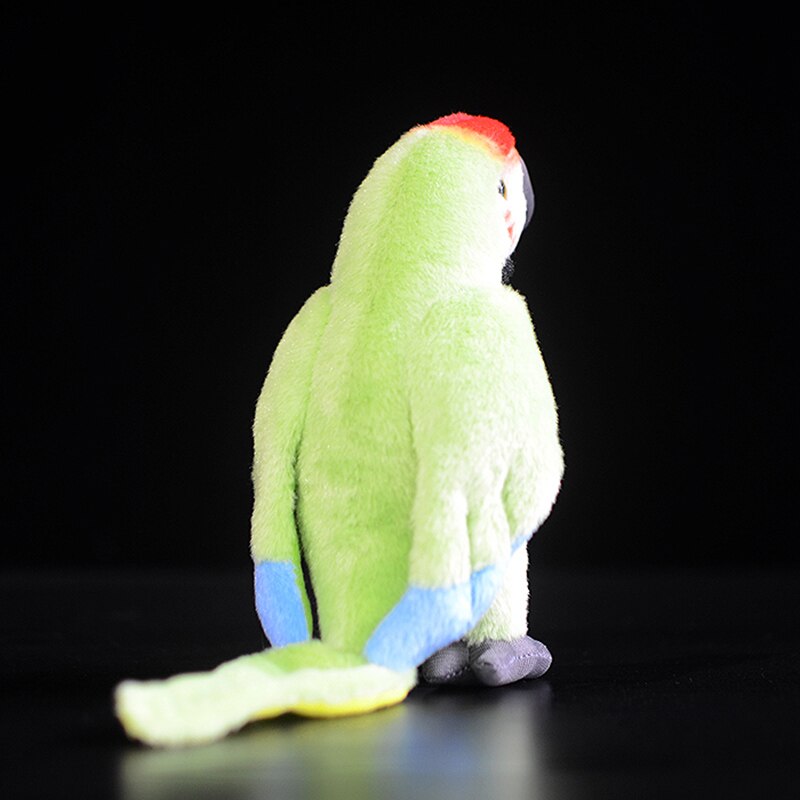 Cute Macaw Light Green Ara Macao Parrot Soft Kids Plush Toy Bird Model Simulation Lovely Lifelike Stuffed Animal Doll Kids Gift