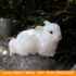 Lying Hare L White