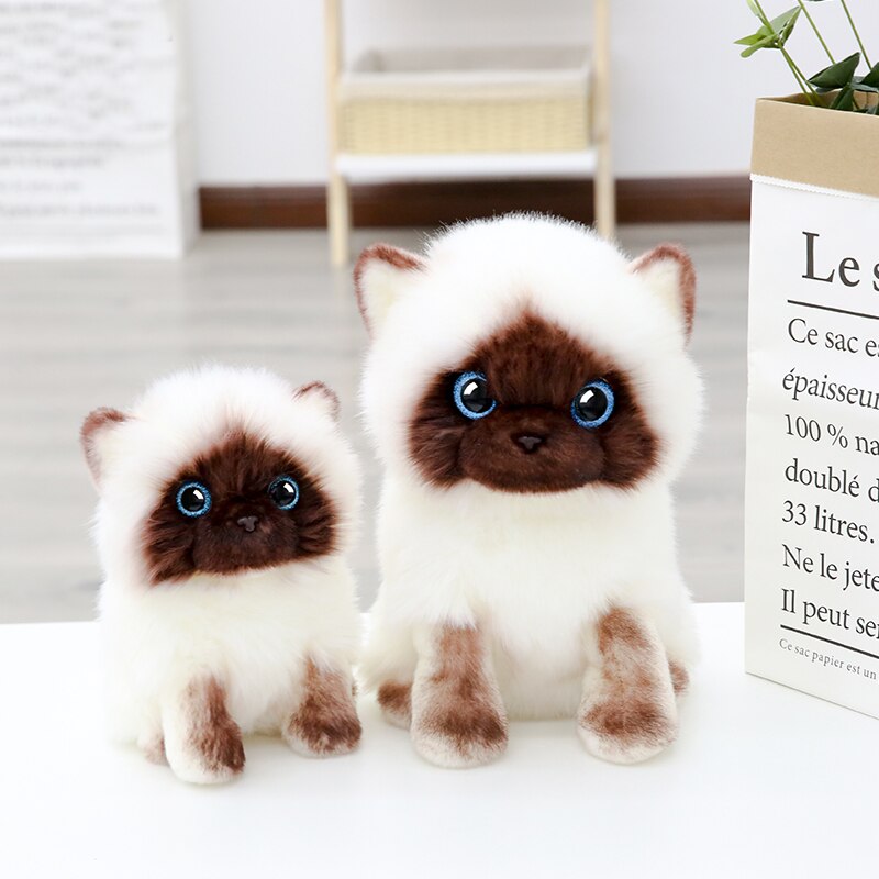 20/26cm Simulation Siamese Cat Plush Toy Blue Sequins Eyes Dolls Brown and White Face Ragdoll Cats Home Decor Cute Gift for Baby