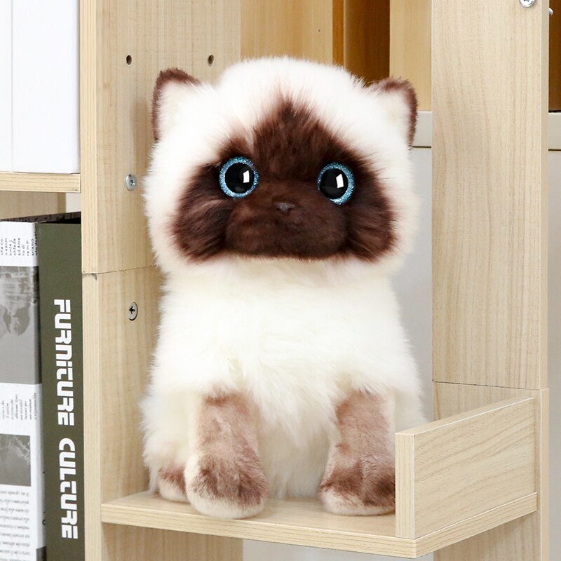 20/26cm Simulation Siamese Cat Plush Toy Blue Sequins Eyes Dolls Brown and White Face Ragdoll Cats Home Decor Cute Gift for Baby