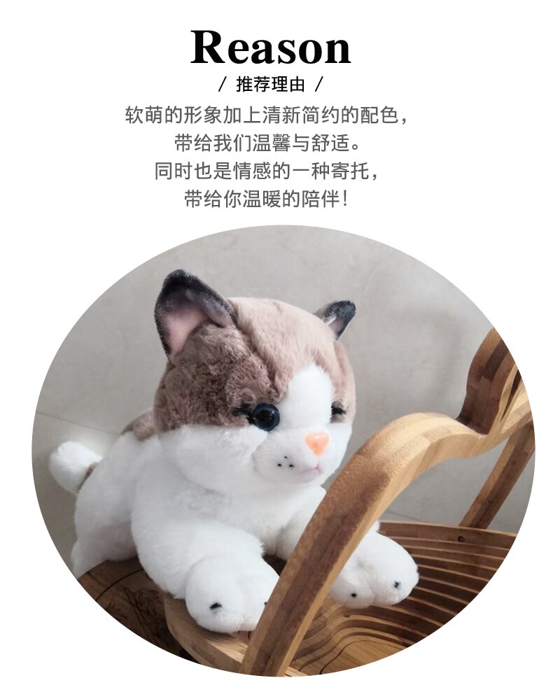 1pc 40cm Simulation Brown&Grey Cat Plush Toy Blue Sequins Eyes Cat Doll Brown and White Face Ragdoll Cats Home Decor Cute Gift