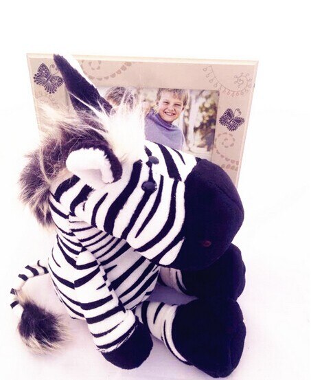 35cm 50cm Germany jungle brother zebra Cute plush toy doll for birthday gift 1pcs