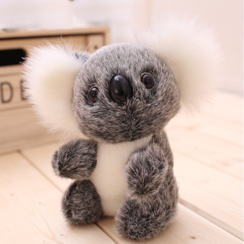 fluffy koala teddy