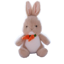 Rabbit With Carrot Soft Stuffed Plush Toy