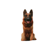 Realistic German Shepherd Dog Soft Stuffed Plush Toy