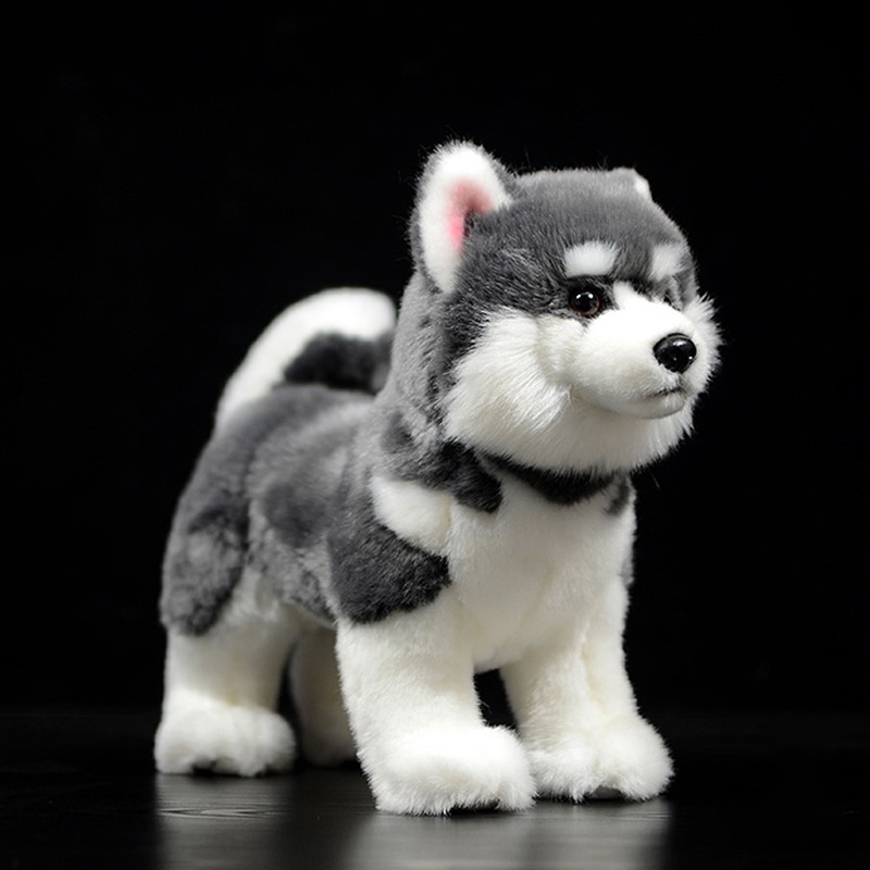 Cute Grey Alaskan Malamute Simulation Dog Doll Soft Real Canis lupus familiaris Stuffed Animal Plush Toy Model For Kids Gift