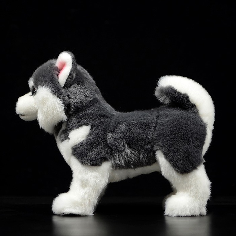 Cute Grey Alaskan Malamute Simulation Dog Doll Soft Real Canis lupus familiaris Stuffed Animal Plush Toy Model For Kids Gift