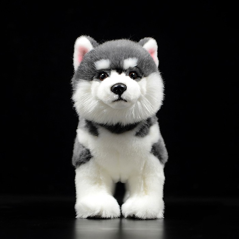 Cute Grey Alaskan Malamute Simulation Dog Doll Soft Real Canis lupus familiaris Stuffed Animal Plush Toy Model For Kids Gift