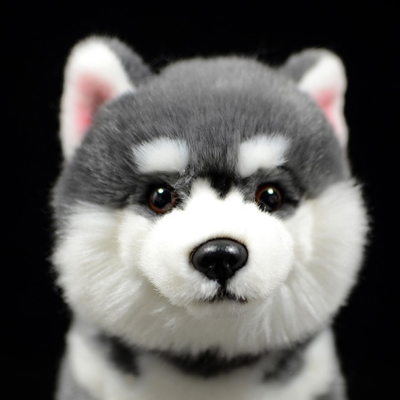 Cute Grey Alaskan Malamute Simulation Dog Doll Soft Real Canis lupus familiaris Stuffed Animal Plush Toy Model For Kids Gift