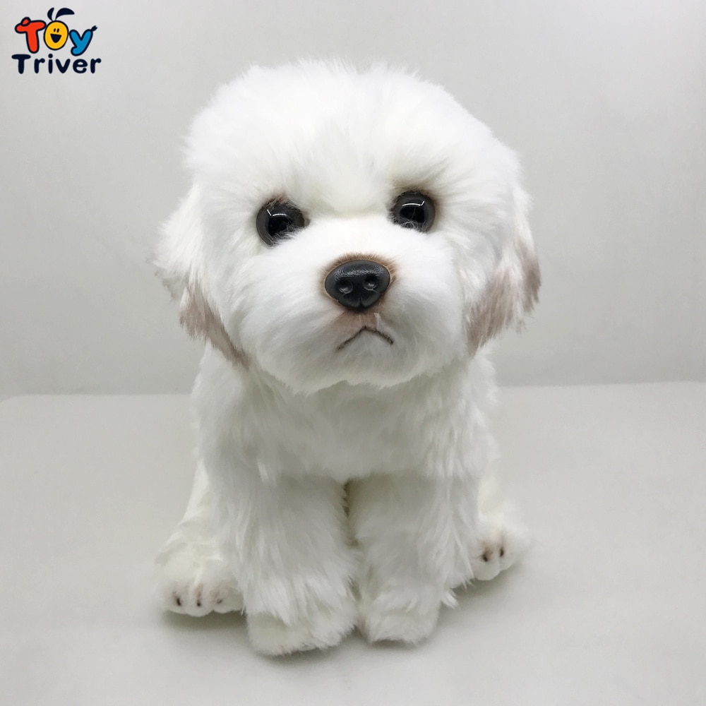 Cute Malta Dog Puppy Maltese Plush Toys Stuffed Animals Doll Baby Kids Children Boys Girls Adults Gift Home Decorations Crafts