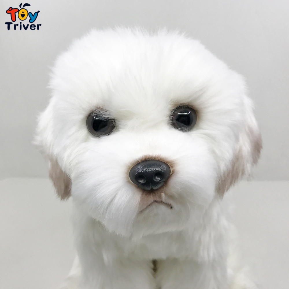 Cute Malta Dog Puppy Maltese Plush Toys Stuffed Animals Doll Baby Kids Children Boys Girls Adults Gift Home Decorations Crafts