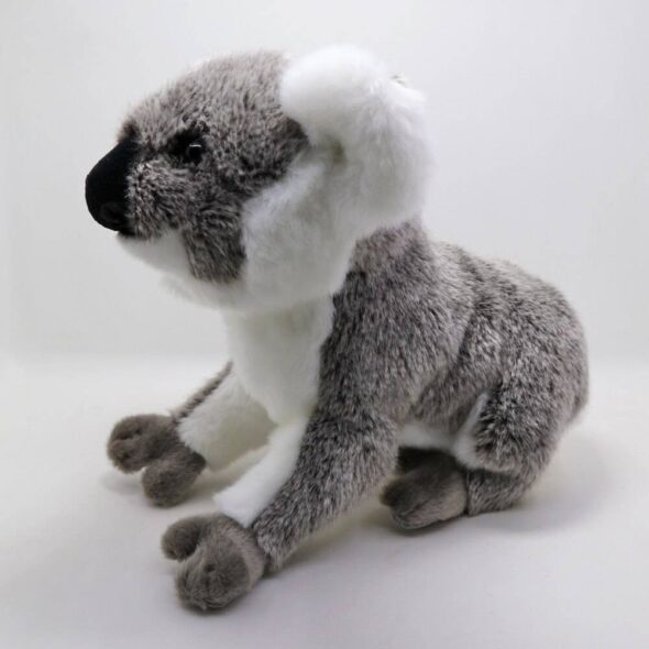 Australian Koala Bear Soft Stuffed Plush Toy World