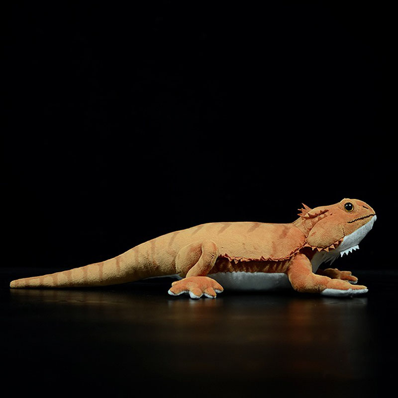 Real Life Bearded Dragon Soft Plush Toy