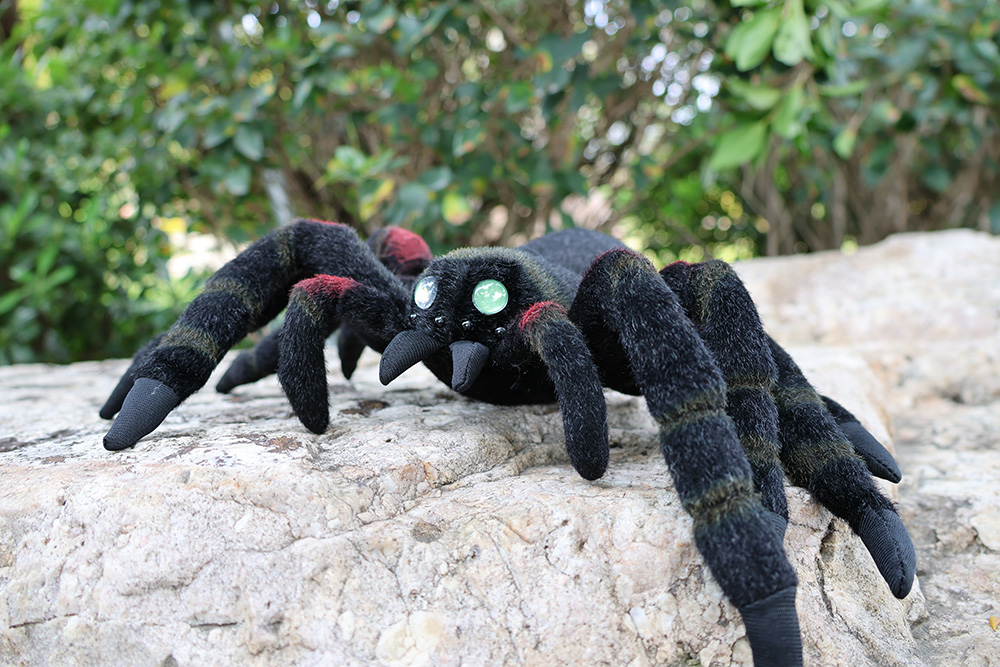 Real Life Bird Eating Spider Soft Stuffed Plush Toy