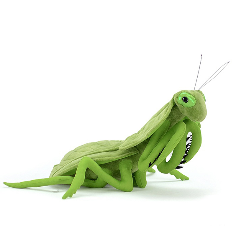 Leaf Backed Mantis Soft Stuffed Plush Toy
