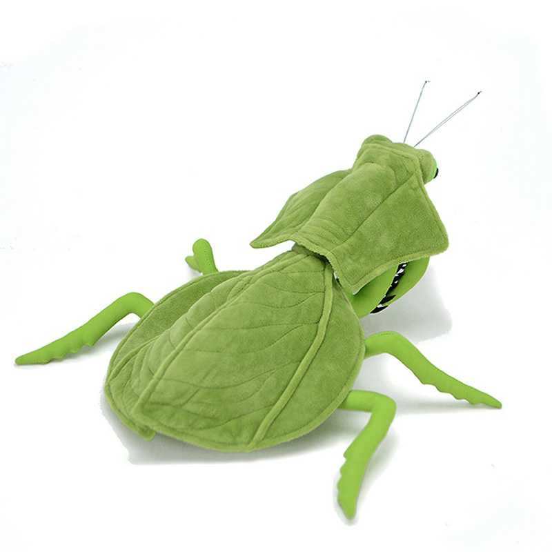 Leaf Backed Mantis Soft Stuffed Plush Toy