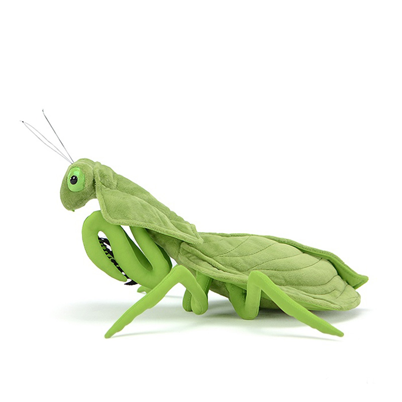 Green Mantis Soft Stuffed Plush Toy