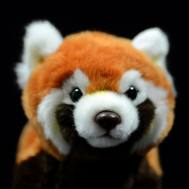 Ailurus Fulgens Panda Soft Stuffed Plush Toy