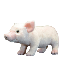 White Pig Soft Stuffed Plush Toy