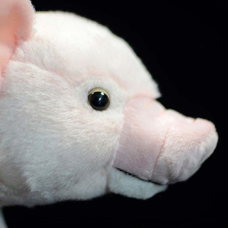 White Pig Soft Stuffed Plush Toy