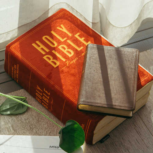 Holy Bible Soft Stuffed Plush Pillow