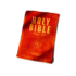 Holy Bible Soft Stuffed Plush Pillow