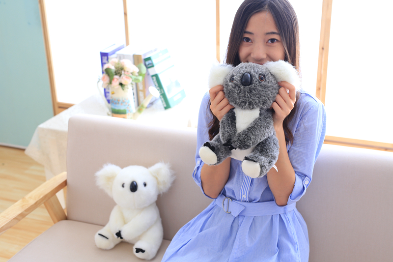 13/17cm Kawaii Koala Soft Stuffed Plush Toy
