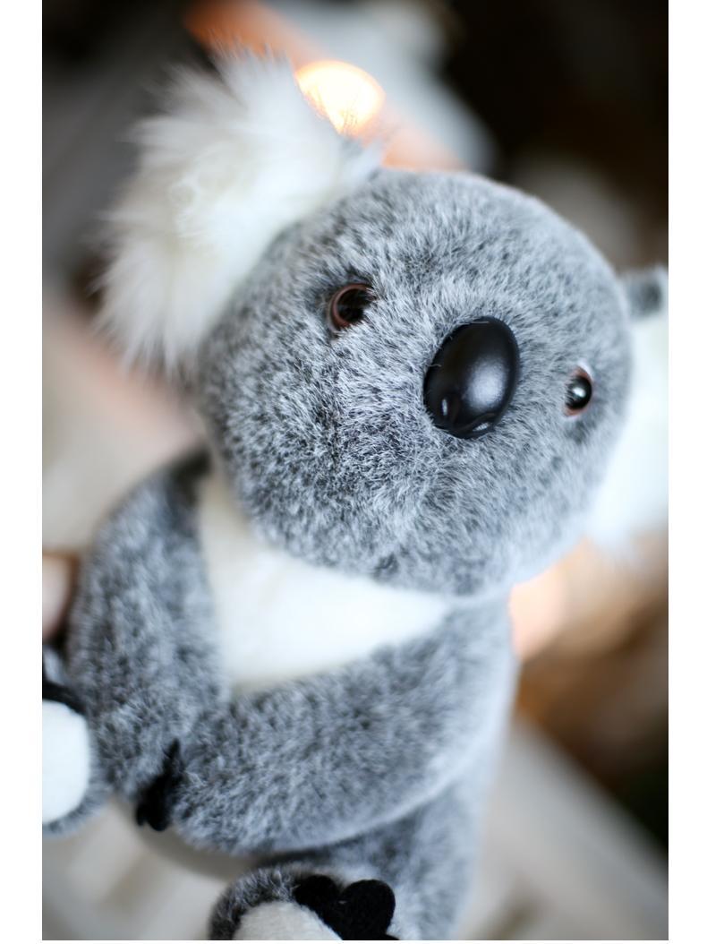 15cm Koala Bear Soft Stuffed Plush Toy