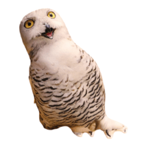 50cm Owl Stuffed Soft Plush Toy