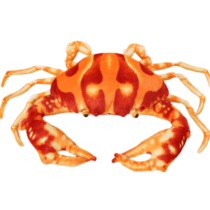 Cartoon Crab Soft Plush Toy