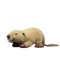 28cm Beaver Soft Stuffed Plush Toy