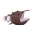 Sea Animal Mini Anglerfish PVC Toy