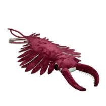 53X33cm Anomalocaris Plush Toy