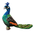 Peacock Bird Soft Plush Toy