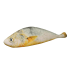 Realistic Yellow Croaker Fish Plush Toy