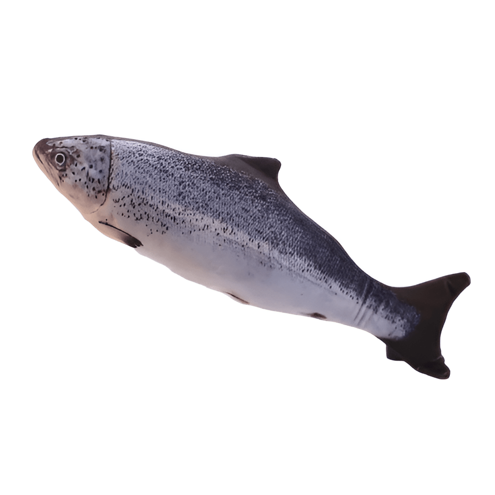 Realistic Atlantic Salmon Fish Soft Stuffed Plush Toy Realistic Atlantic Salmon Fish Soft Stuffed Plush Toy