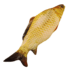 Crucian Carp Fish Plush Toy